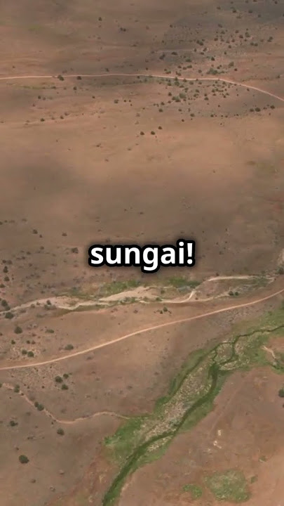 Pernah terbayang kalau Gurun Sahara dulunya dipenuhi padang rumput hijau dan sungai? 🌍 #FaktaSahara