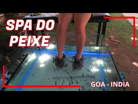 Vídeo: Como Obter Massagem De Peixes