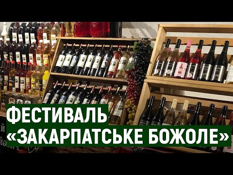 Близько 20 виноробів привезли свої вина на фестиваль "Закарпатське божоле" в Ужгород