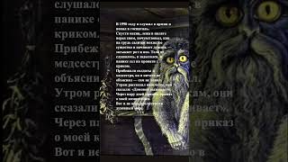 Загробная жизнь. Реинкарнация после смерти