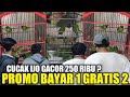 REJEKI SORE NEMU CUCAK IJO GACOR CUMA 250 RIBU ! ADA PROMO BELI 1 GRATIS 1 KIOS PASAR BURUNG PRAMUKA