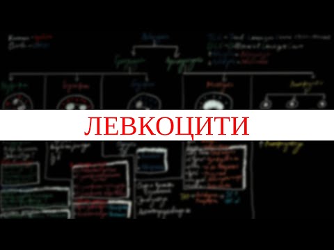 Левкоцити