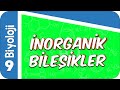 9. Sınıf Biyoloji: İnorganik Bileşikler #2022