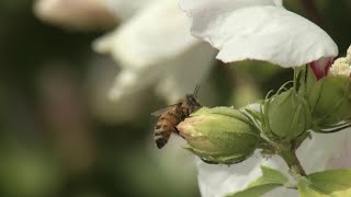 Spring Allergies: Ways to Nip Them in The Bud!