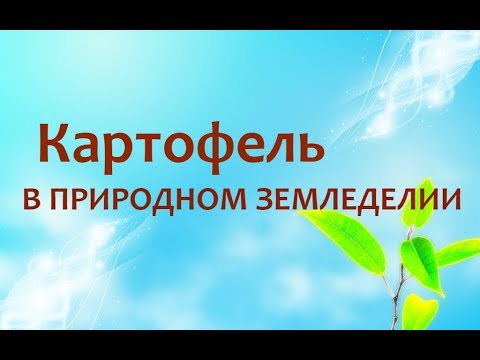 Природное земледелие - картофель