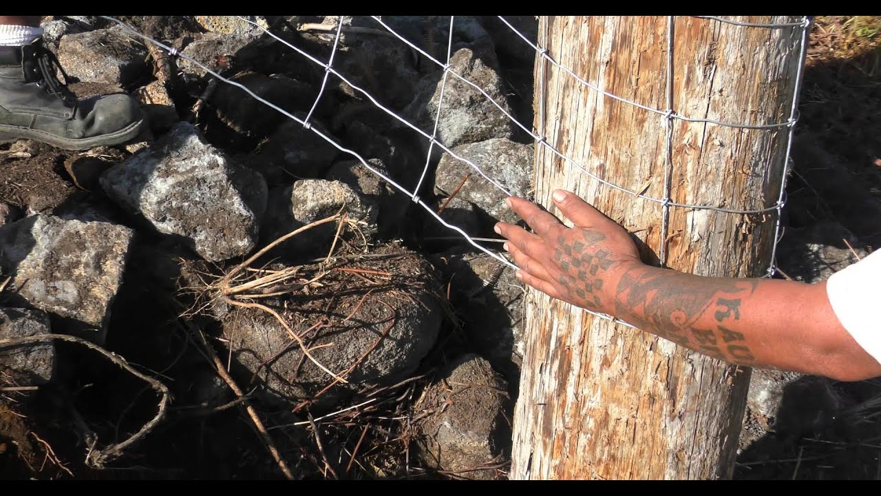 Fence Building on Lava/Rock in Hawaii YouTube