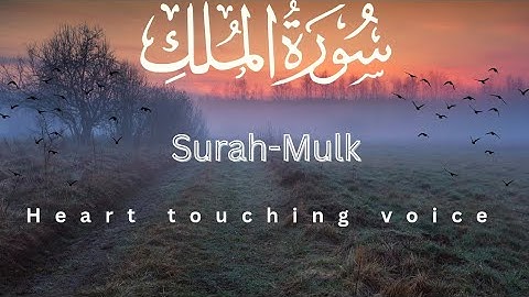 Surah Al-Mulk 🕋 | Soothing Tilawat for Protection from Grave Punishment | سورة الملك