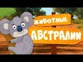 ЖИВОТНЫЕ АВСТРАЛИИ! Развивающие мультики для самых маленьких