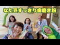 大人気‼️なた豆すっきり歯磨き粉【三和通商】