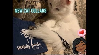 New Cat Collar's for Jupiter & Jubilee! by DamaskCats 64 views 4 years ago 4 minutes, 48 seconds
