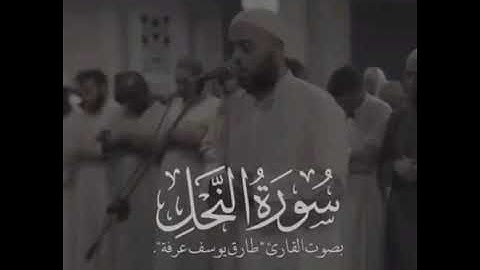 سورة النحل كاملة من صلاة القيام ١٤٤٤ طارق يوسف عرفة