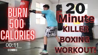 20 MINUTE | BEGINNERS LEVEL BOXING WORKOUT