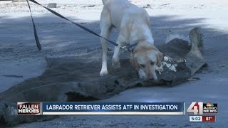 ATF Agents bring out dogs to scene of fatal fire