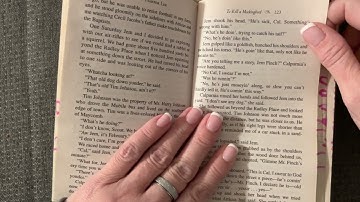 Chapter 10 of To Kill a Mockingbird (Cal