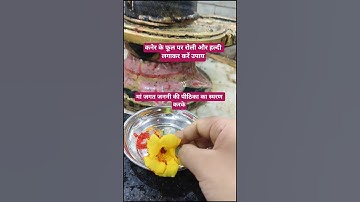 जब कोई आपका साथ ना दे तो कनेर के पुष्प पर रोलीऔर हल्दी लगाकर शिवलिंग पर चढ़ा दे #upay#pradeepmishra