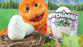 Hatchimals Incubación de Vídeo 🐣 Apertura Draggles Revisión de Gigante juguete Draggles 🐉