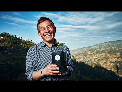 [Make your farm] 네팔에 당신의 커피나무 농장을 만드세요! - video from Tree Planet