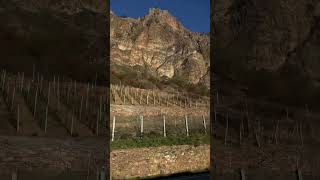 #train #travel #shorts