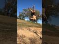 Gainer switch 🤸 #tricking #trickinglife #backflip #abs #gymnasticsbodies #jito