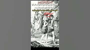 #ترجمه سورة البقره #آیه ۳۸-۳۹ #صداگذار#محمدرامین صمیمی 🥀🌹⚘