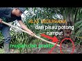 ALAT SEDERHANA DARI PISAU POTONG RUMPUT ll MUDAH DAN PRAKTIS #alatsederhana #sawit #kebunsawit