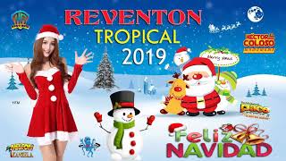 reventon tropical mix 1