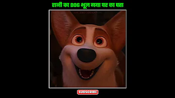 Raani Ka Dog Bhul Gya Apna Ghar 👀🏡 | Animated Movie Explained #shorts #movieexplainedinhindi