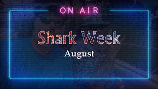 August Update / Shark Week / Christmas Light Installers Mastermind / Hot Topic / Hyper Focused