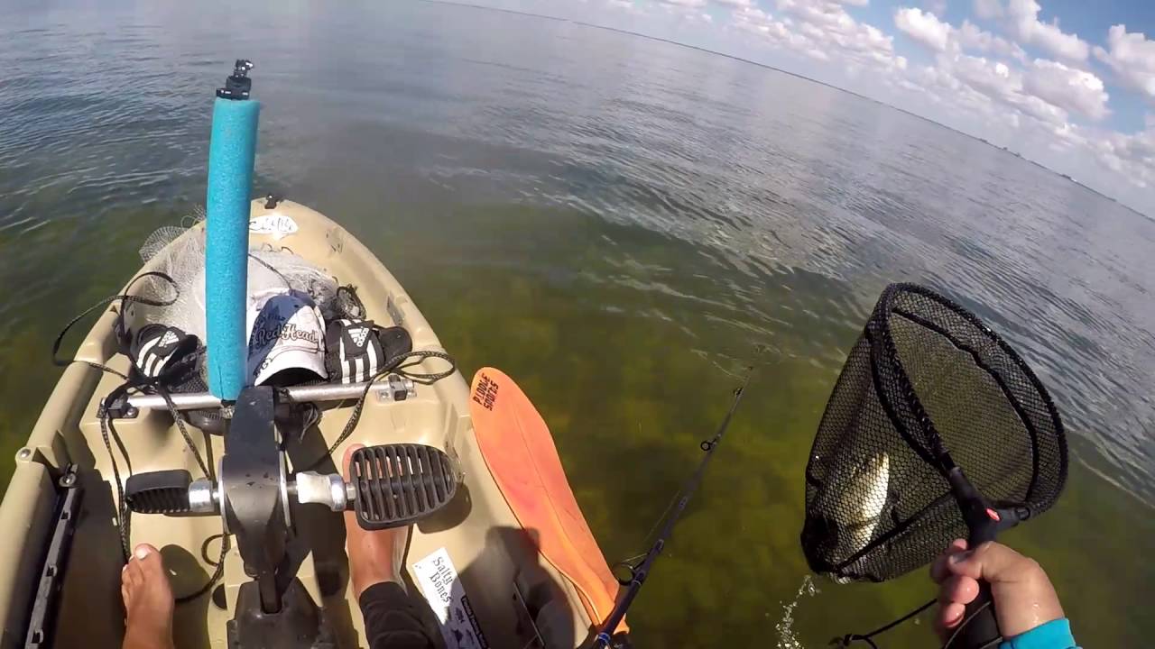 Kayak fishing Tampa Bay YouTube