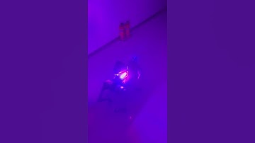 Unitree robot dog for security