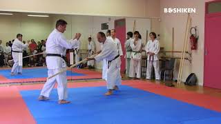 Uechi Ryu Tameshiwari - Breaking