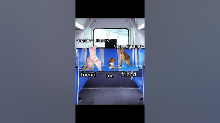 CAT MEMES 🐱 Going On A School Trip #catmemes #relatable #shorts