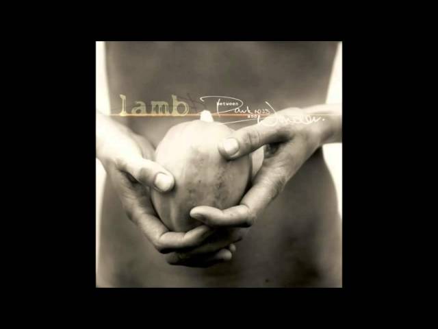 LAMB - Stronger