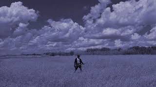 Antonio Ripa - Regina Del Deserto