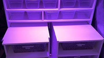 DIY snake rack completion. Home of my Ball Pythons