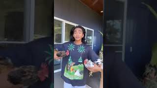 Bretman Rock and his chickens (Bo and Cockiana)
