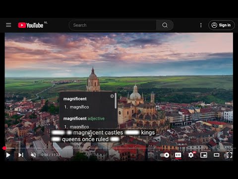 Spotlight Lingo 🌎. Translate Subtitles: Youtube, Netflix, Amazon Prime video preview 2