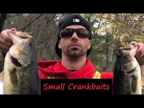 Small Crankbaits (Advanced In-Depth) Tournament Winning Secrets Revealed!  KVD 1.0 vs LuckEstrike Rc2 