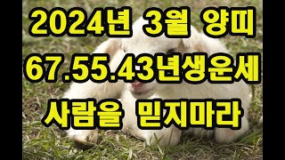 2024년 3월 양띠운세  사람으로 낭패를 보는구나