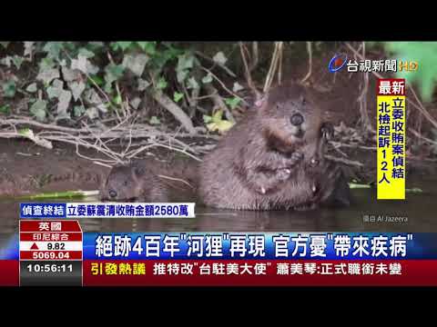 【2020國家防災日】指定頻道災害訊息發布演習 台視新聞 演練狀況（訊息插播）