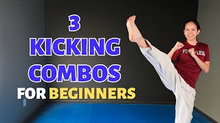 3 Beginner Taekwondo Kicking Combinations
