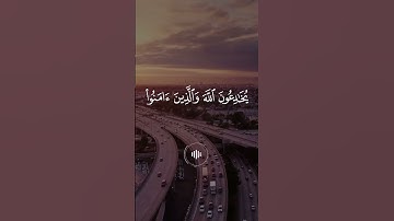 سورة البقرة - ماهر المعيقلي