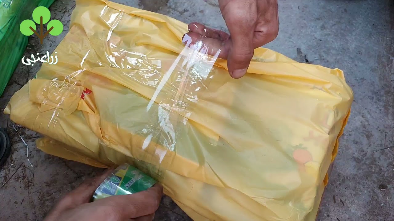تجهيز وشحن ديدان الكمبوست الى التجمع الخامس
