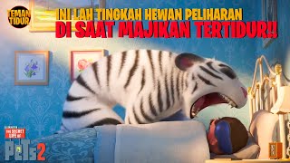 MAJIKANYA TIDAK TAHU KALAU ADA HARIMAU DI RUMAHNYA!!! - Alur Cerita ' PET 2'