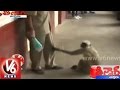 Crazy Monkey At Indore || Madya Pradesh || Teenmaar News