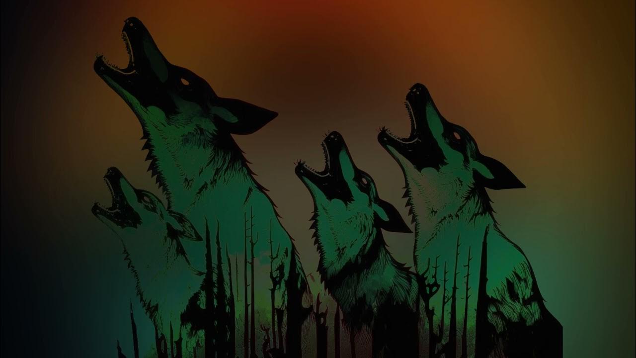Wolves Howling Sound (Sound Effects) Royalty Free YouTube