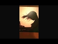 歌ってみた aiko それだけ