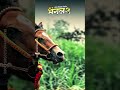 Ghoda gadi race Kolhapur 🔥🐎 || घोडा गाडी शर्यत || घोडा शर्यत कोल्हापूर || #shorts