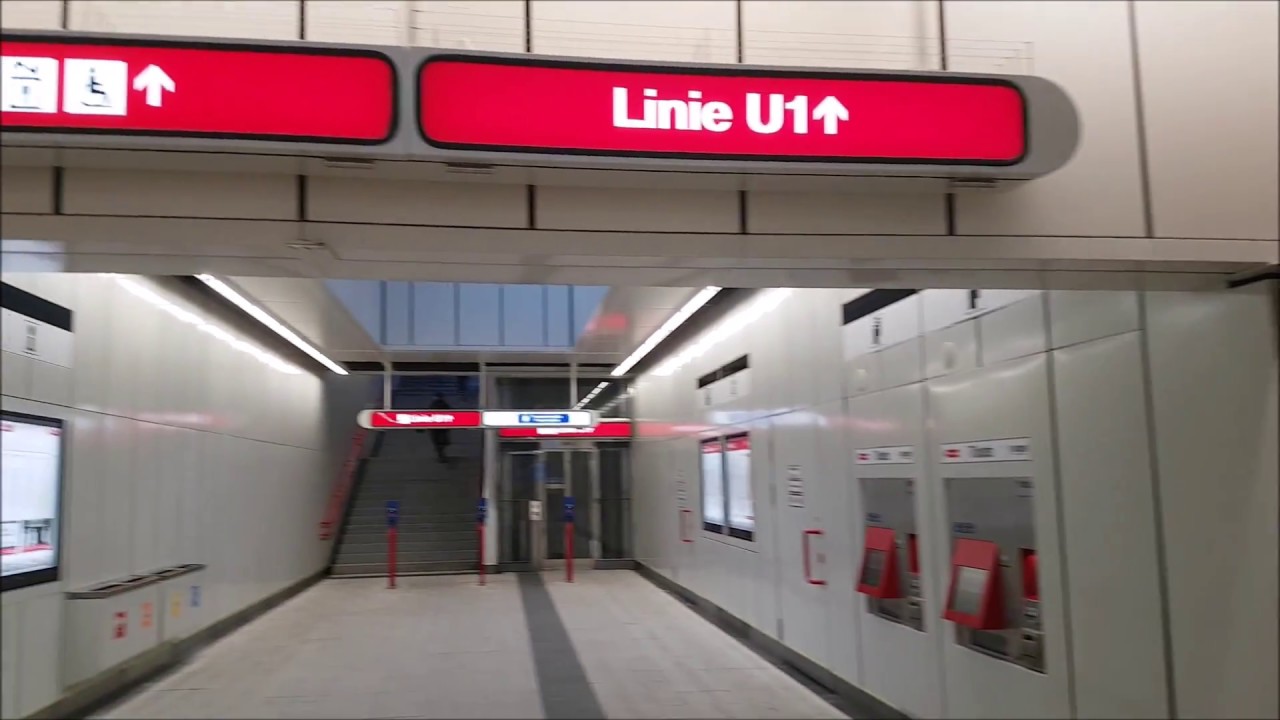 U1 Neulaa - 1 Jahr alt