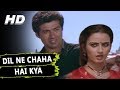 Dil ne chaha hai kya  kavita krishnamurthy  yateem 1988 songs  sunny deol farah naaz